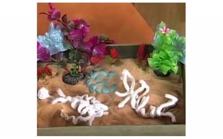 Plaster Cloth, Artplaster & Colored Sand are used to make Dinosaur fossils on Hands On Crafts for Kids -